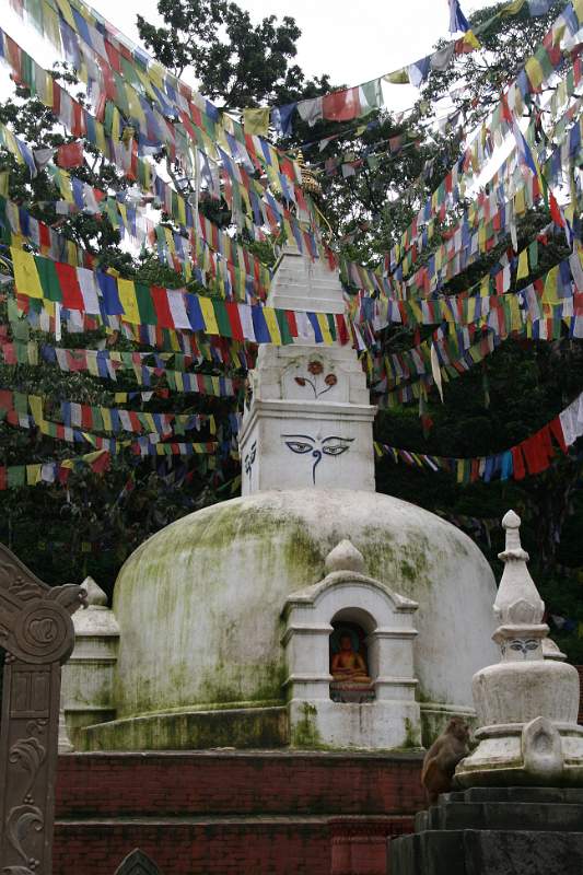 India & Nepal 2011 - 0375